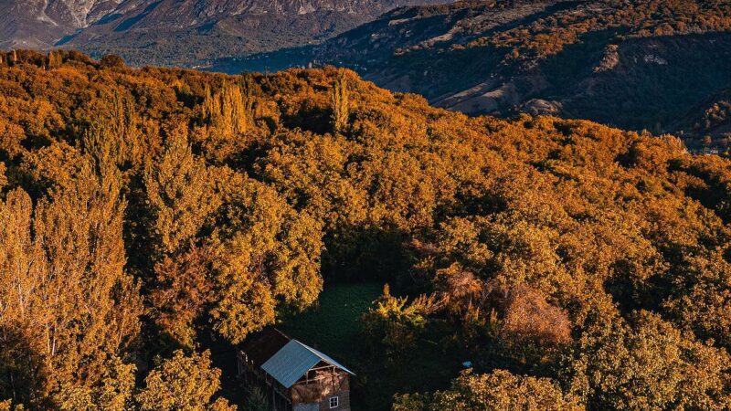 Арстанбап жаңгак токоюнун ажайып күзү (Фото)