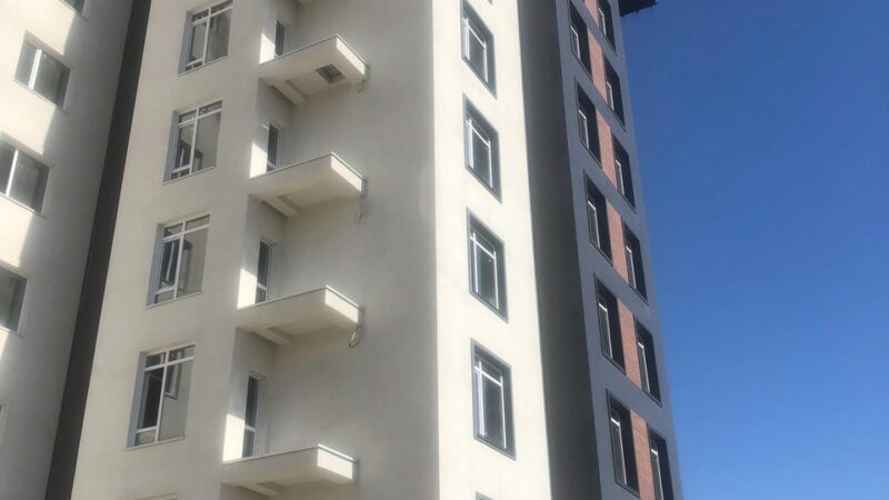 Турак жайлар мамлекетке кайтарылып, 593,9 млн сом зыяндын орду толтурулду