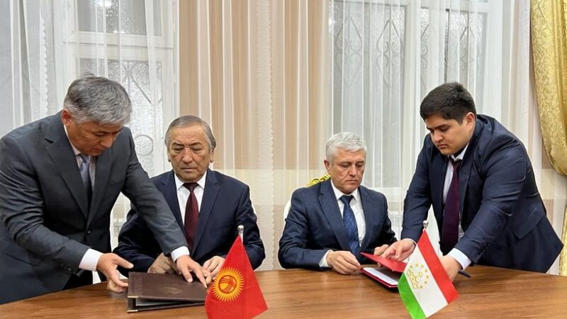 Кыргыз-тажик чек арасынын 14 чакырым тилкеси макулдашылды