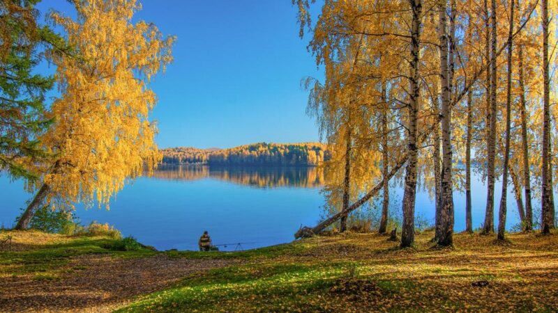Күнүңүз берекелүү өтсүн! Бүгүн күн ачык болот
