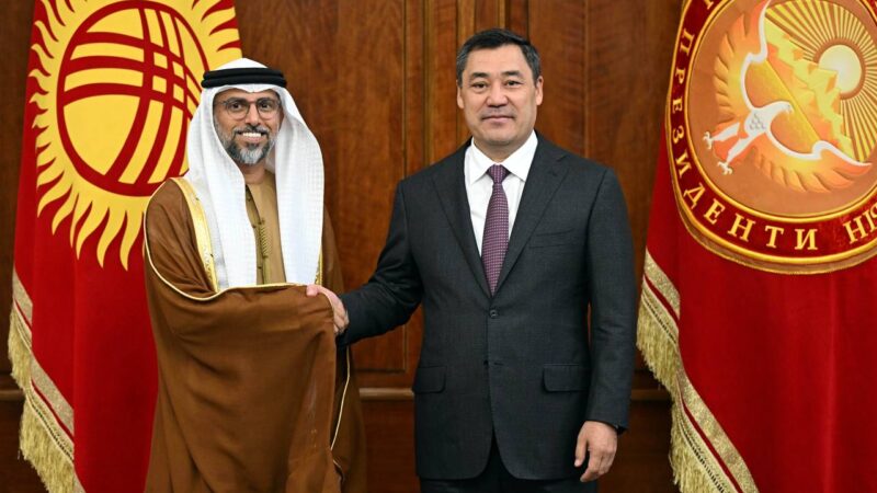 Президент БАЭ энергетика жана инфраструктура министрин кабыл алды