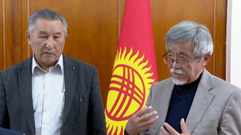 Туунун авторлору желектин негизин өзгөртпөсө, жакшылап түзөтүү киргизүүнү колдойт
