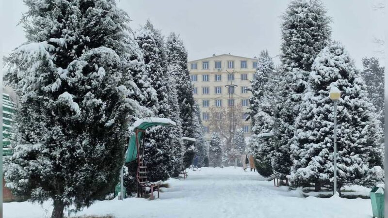 Кутман таң, замандаш! Күнүңүз жакшы жаңылыктар менен коштолсун