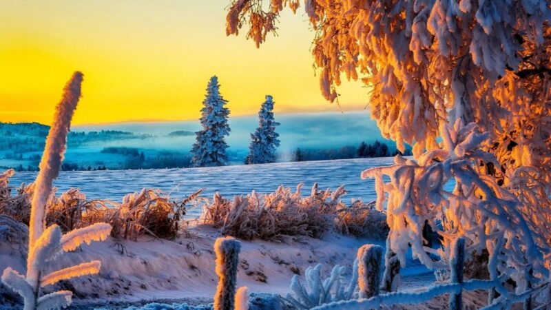 Амансызбы, замандаш? Бул жумаңыздар ийгиликтүү өтсүн