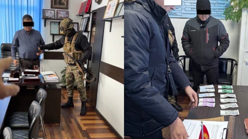 Аламүдүн айыл өкмөтүнүн жетекчилери пара алууга шектелип кармалды