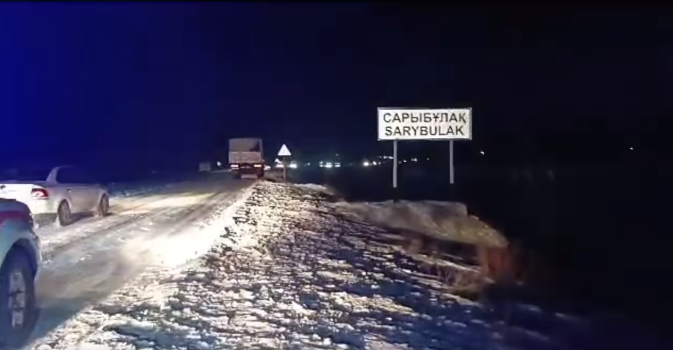 Кордайда калып калган 16 жаран мекенине алып келинди