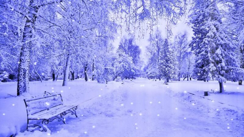Кар жаап, күн сууктайт. Жылуу кийинип чыгыңыз, окурманым