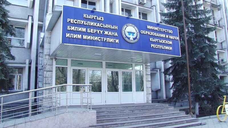 Лицейде агайы тарабынан сабалган окуучу боюнча министрлик үн катты
