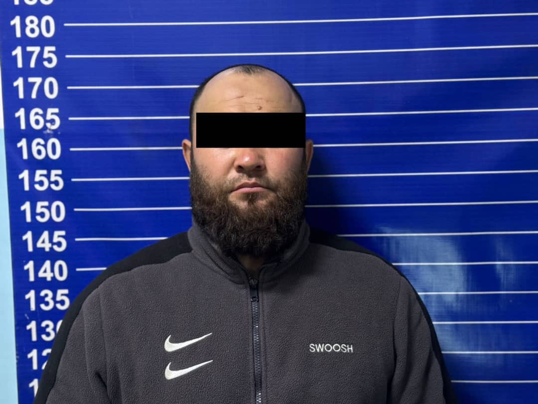 Экстремисттик уюмдун материалдарын тараткан жаран кармалды
