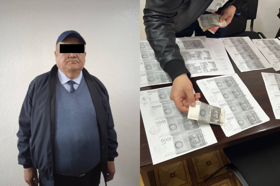 Жасалма сынак өткөрүп, айдоочулук күбөлүктөрдү саткан адис кармалды