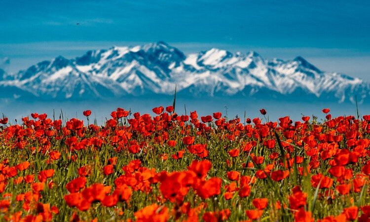 Амансызбы, окурман! Баары жакшыбы? Аба ырайы менен таанышыңыз