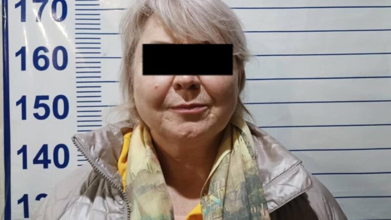 Ирина Карамушкина жана «Социал-демократтар» партиясынын өкүлү кармалды