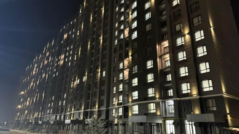 Туманбаев электрондук кезек жана берилген батирлер боюнча түшүндүрмө берди