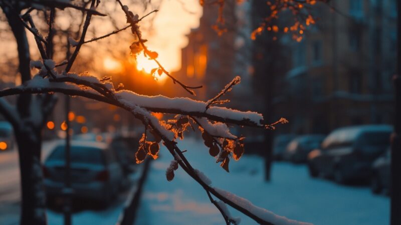 Кутман таң, замандашым! Агарып аткан таң, ырыскысын тегиз чачсын!