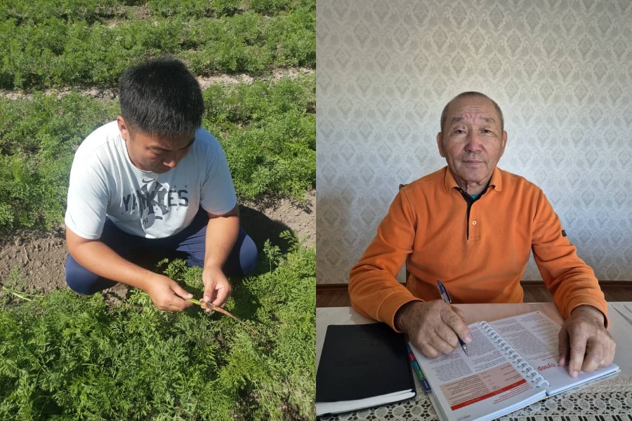 Өлкөдө сабиз жана кант кызылчасын өстүрүү боюнча чемпиондор аныкталды