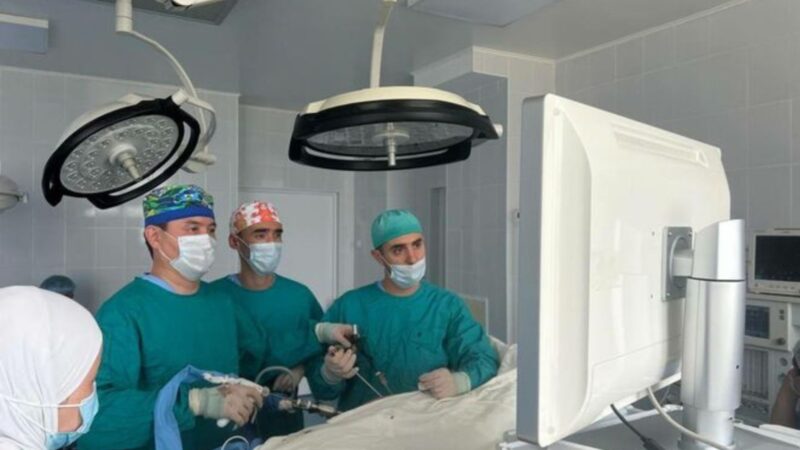 Кыргызстанда бөйрөк алмаштыруунун инновациялык ыкмасы жасалды