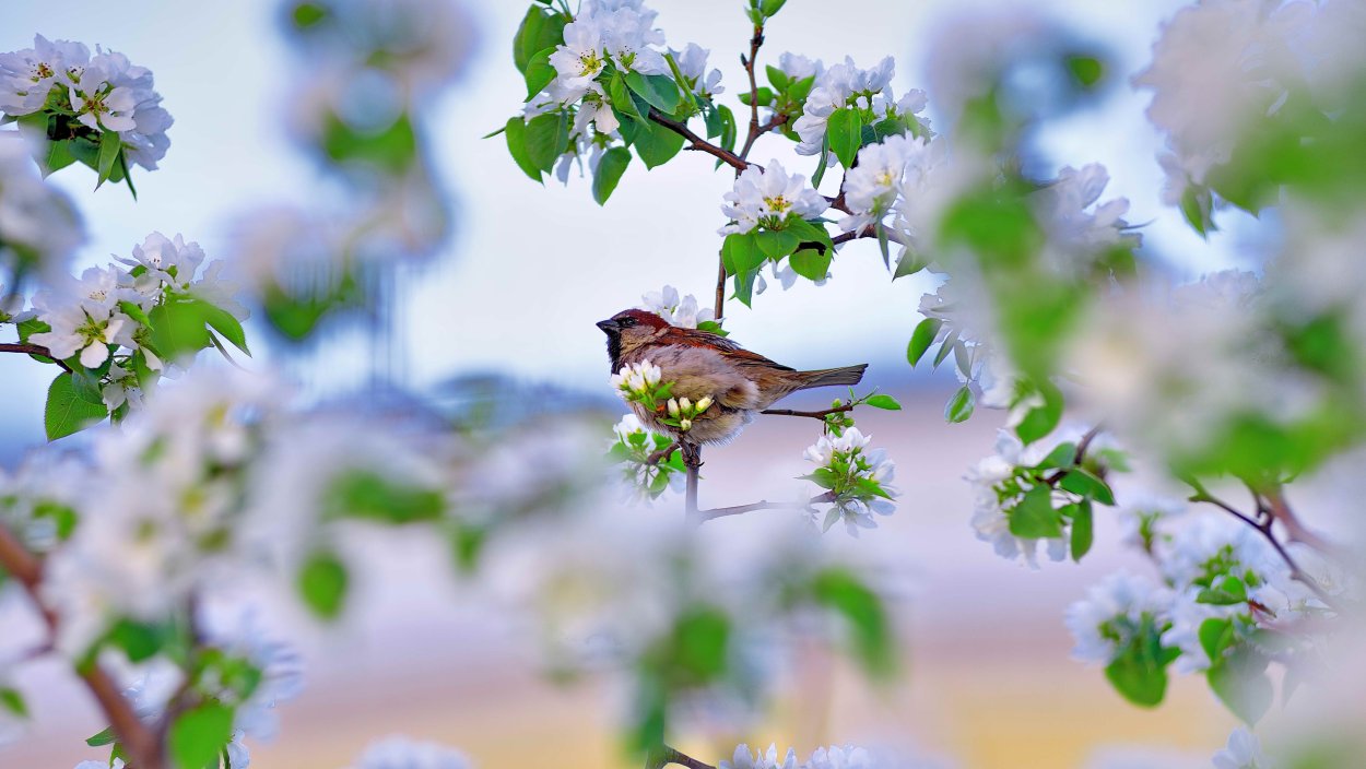 Үйүңүзгө нур! Үй бүлөңүзгө бакыт! Өмүрүңүзгө чексиз кубаныч тилейбиз. Кутман таңыңыз менен!
