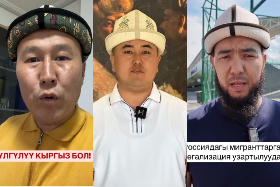 Чет өлкөдөгү мекендештерди колдоо максатында флешмоб башталды