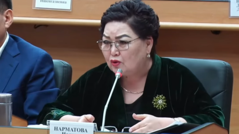 Депутат: Аскерге барбаган балдарга кыздар турмушка чыкпай эле коюш керек