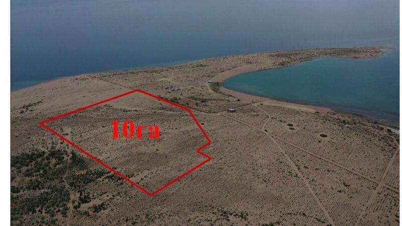 Жети-Өгүз районунда 10 гектар жер мамлекетке кайтарылды