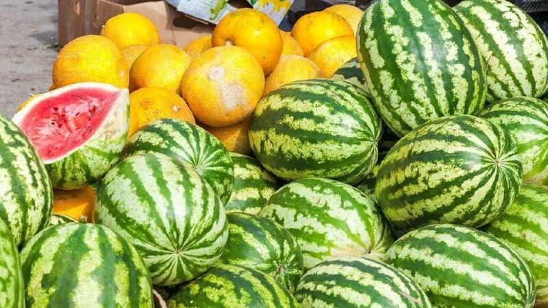 Кыргызстандын ширин дарбыздары бышып, сатыкка коюла баштады