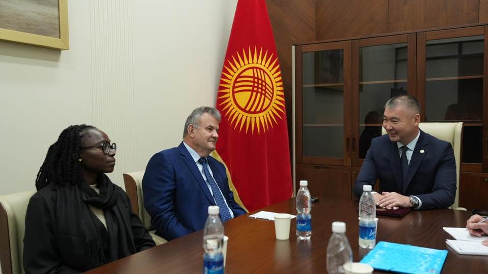 Кыргызстанда жасалган паспорттор Түштүк Африкага экспорттоло баштады