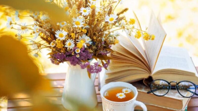 Көйгөйлөр сизди артка эмес, кыялдарга жетелейт. Күнүңүз көңүлдүү өтсүн!