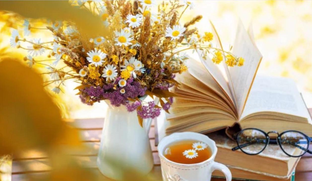 Көйгөйлөр сизди артка эмес, кыялдарга жетелейт. Күнүңүз көңүлдүү өтсүн!