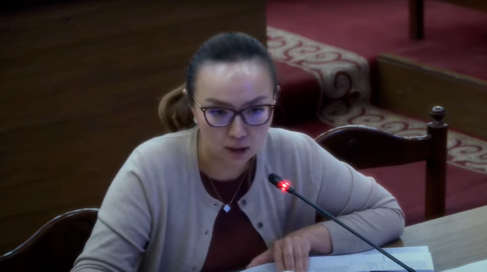 «Өлтүрүлгөн жаранды жамандап жазган блогер түрмөгө отуруш керек»