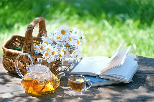 Ар таңда жашоо, дем алуу, сүйүү, өмүрдөн ырахат алуу канчалык кымбат экенин унутпаңыз. Күнүңүз бакытка бай болсун!