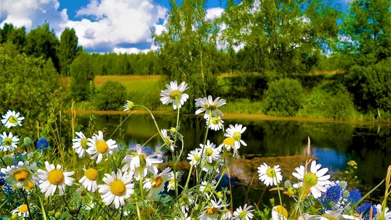 Бактылуу жашоо жок, бактылуу күндөр гана бар. Бүгүнкү күн менен жашаңыз, окурманым!