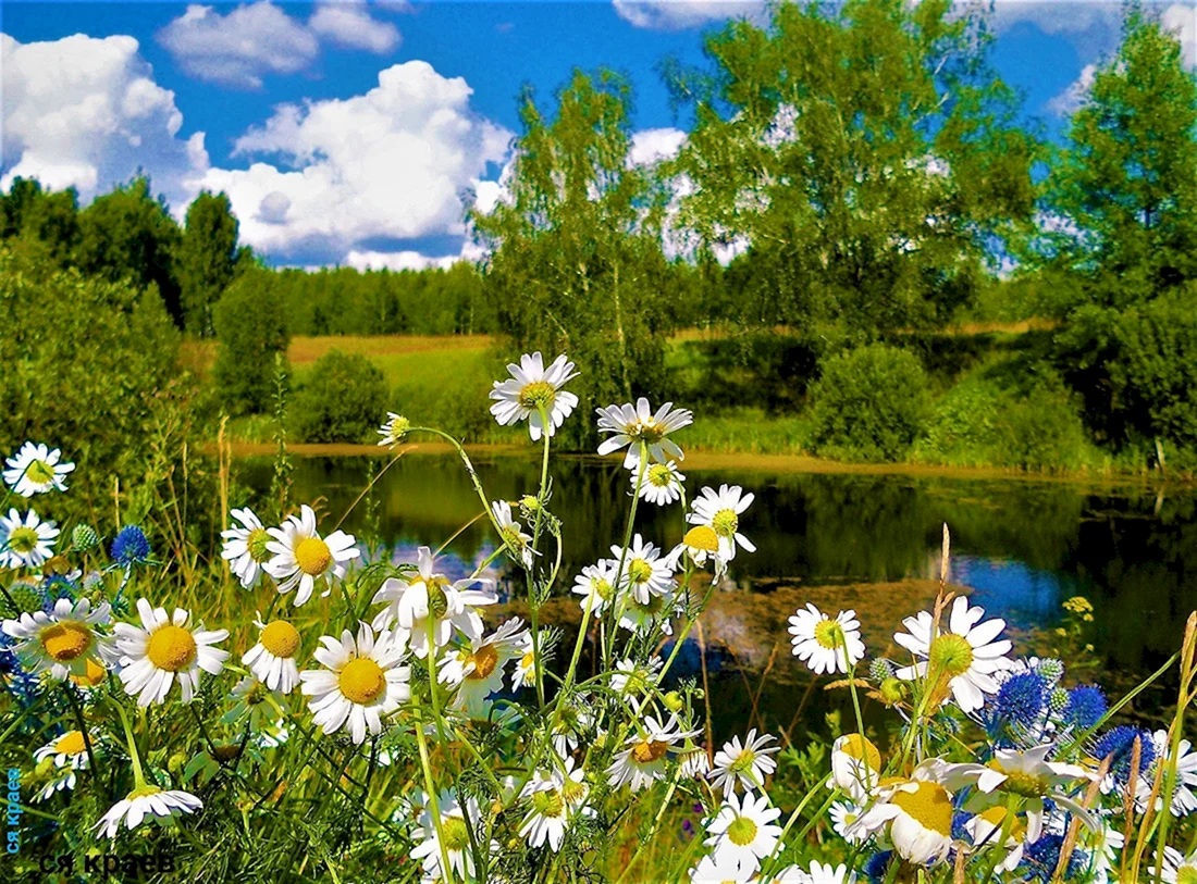Бактылуу жашоо жок, бактылуу күндөр гана бар. Бүгүнкү күн менен жашаңыз, окурманым!