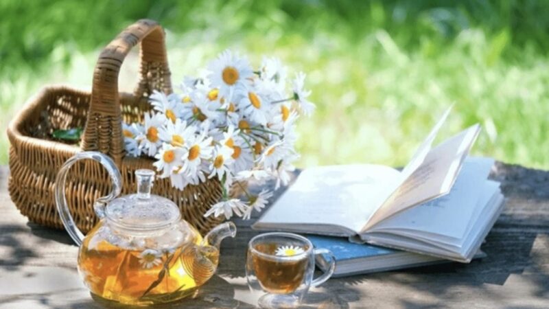 Аткан таң менен ар бир үйгө бакыт жана береке ыроолосун. Кутман таңыңыздар менен!