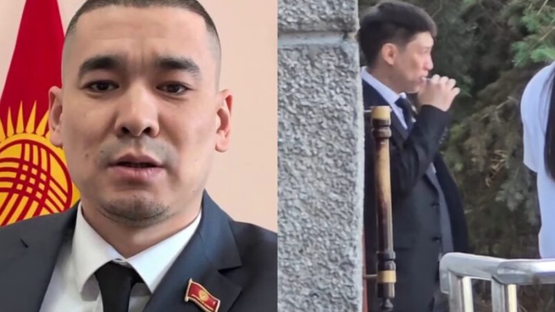 Депутат электрондук тамеки чегип, айыпка жыгылды