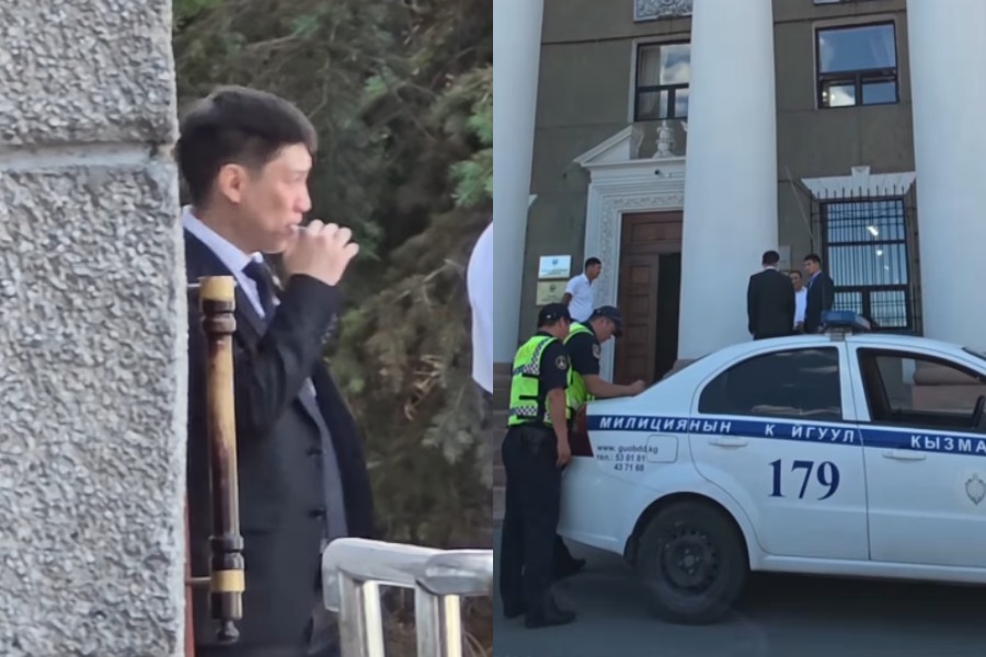 Депутат электрондук тамеки чегип, айыпка жыгылды