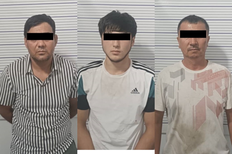 Жалал-Абадда жер тилкелерин басып алган «шылуун» кармалды