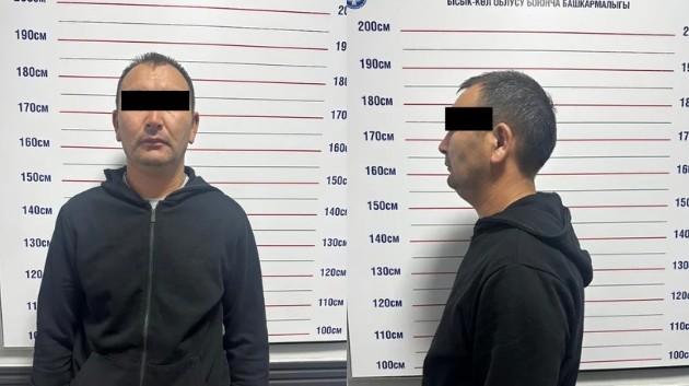 УКМК: Караколдо пара талап кылган жаран кармалды