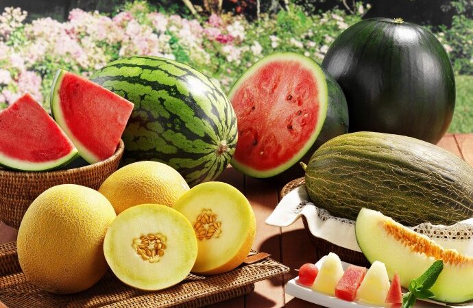 Коон менен дарбызды кантип туура тандоо керек?