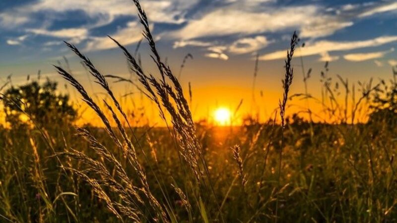 Дем алыш күндөрдүн дагы бир таңы атты. Күнүңүз жемиштүү өтсүн!