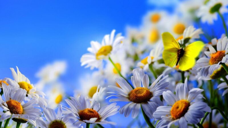 Мүмкүнчүлүктөр өзү эле келе бербейт. Аларды сиз жаратыңыз. Кутман таң, замандашым!