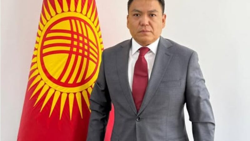 Санариптик өнүктүрүү башкармалыгына жаңы жетекчи дайындалды