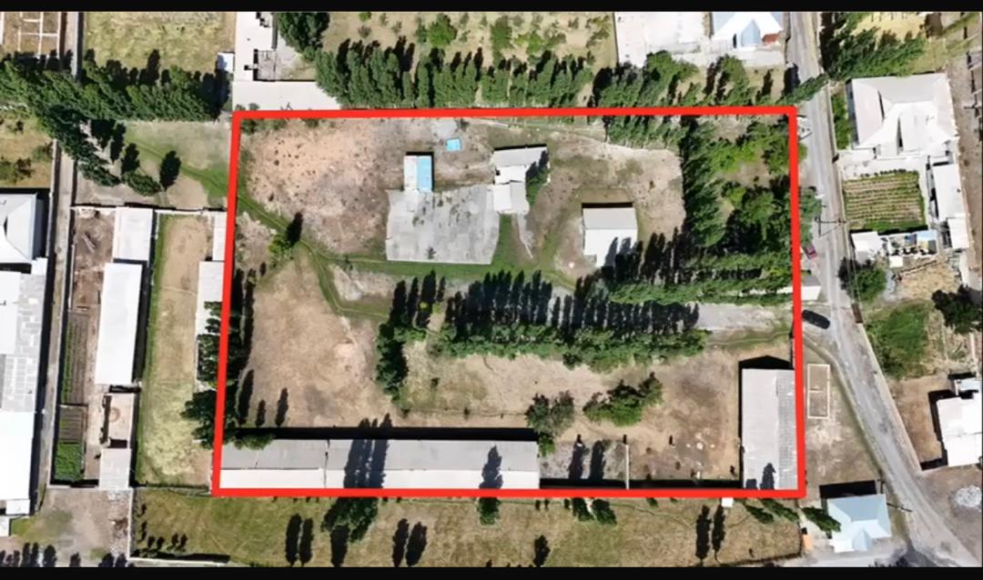 Алай районунда «Пилорама» ишканасынын жери мамлекетке өттү