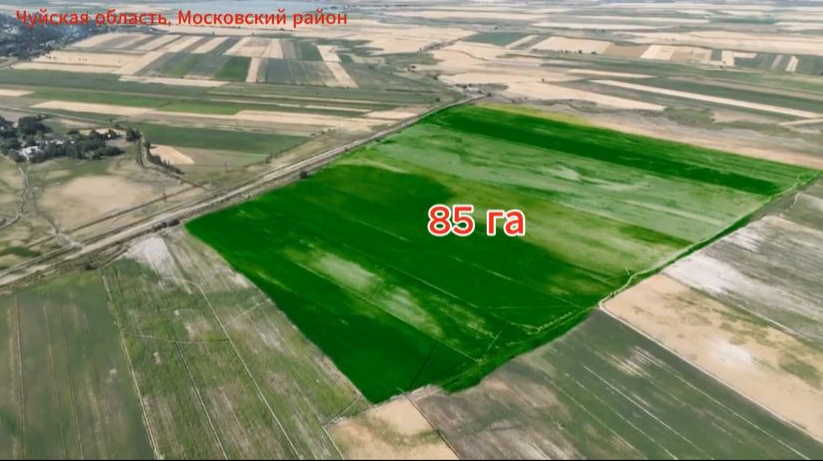 Москва районунда 822 га жер тилкеси мамлекетке кайтарылды