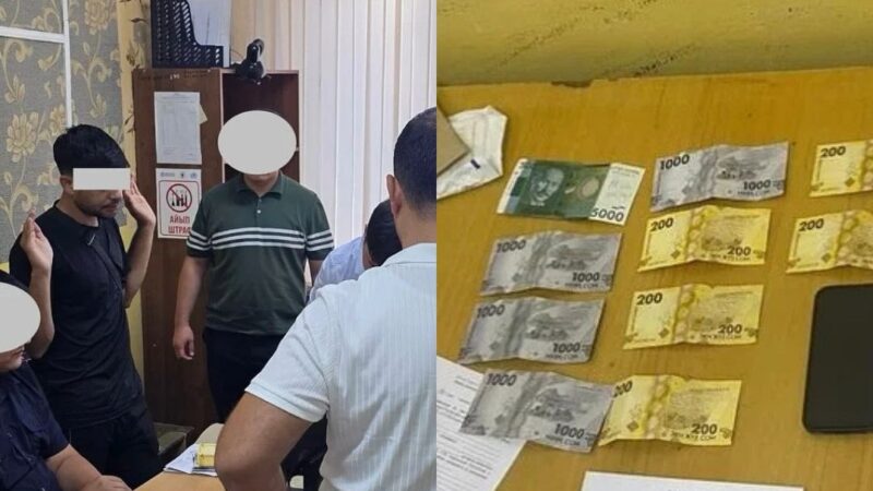 Бишкекте пара берип жаткан чет өлкөлүк жаран кармалды