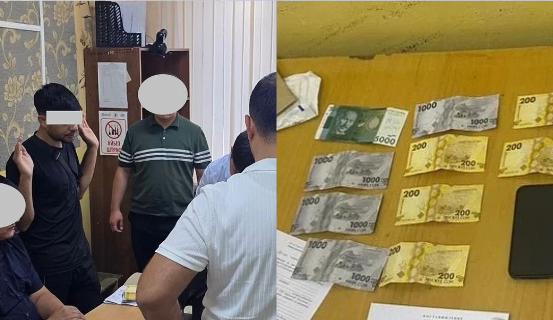 Бишкекте пара берип жаткан чет өлкөлүк жаран кармалды