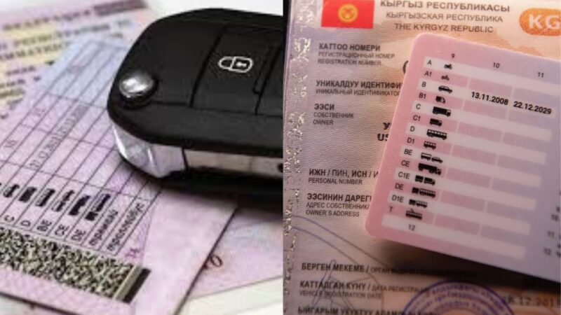 Айдоочулук күбөлүктү онлайн алмаштыруу пландалууда