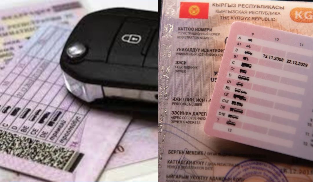 Айдоочулук күбөлүктү онлайн алмаштыруу пландалууда