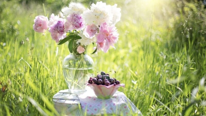 Сүйүүгө, кубанычка жана сансыз мүмкүнчүлүктөргө толгон жаңы күн башталды.  Сизге ийгилик каалайбыз!