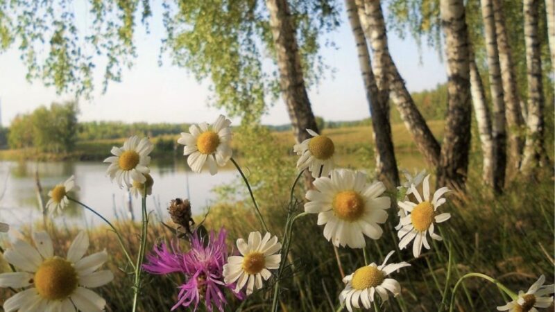 Кутман таң! Дем алыш күнүңүздөр көңүлдүү өтүү үчүн, эс алууга убакыт бөлүңүздөр!