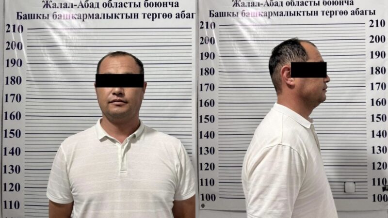 Камчыбек Ташиевге “менин коррупцияга тиешем жок” деген жаран кармалды